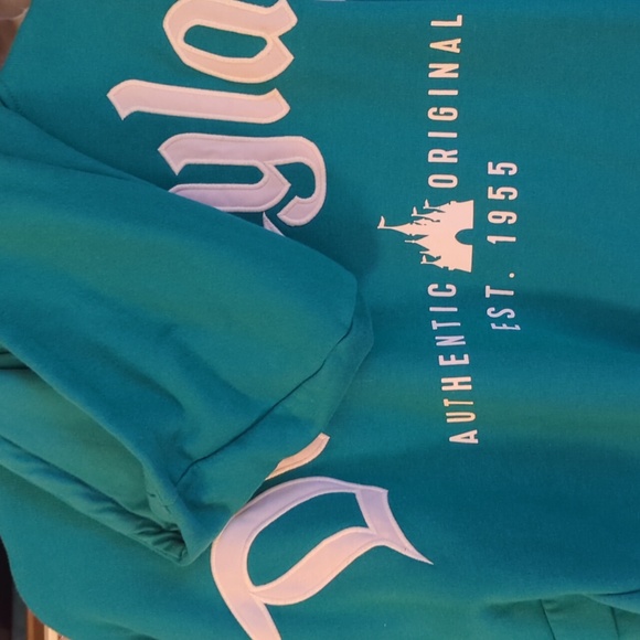 Disneyland Castle Teal Hoodie, L - Picture 3 of 10